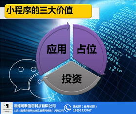 如何申請淄博網(wǎng)泰科技的桓臺微信小程序網(wǎng)站技術(shù)服務(wù)