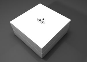 品藝碰撞 Adelia美發(fā)護(hù)發(fā)品牌的VI設(shè)計(jì)美學(xué)解讀
